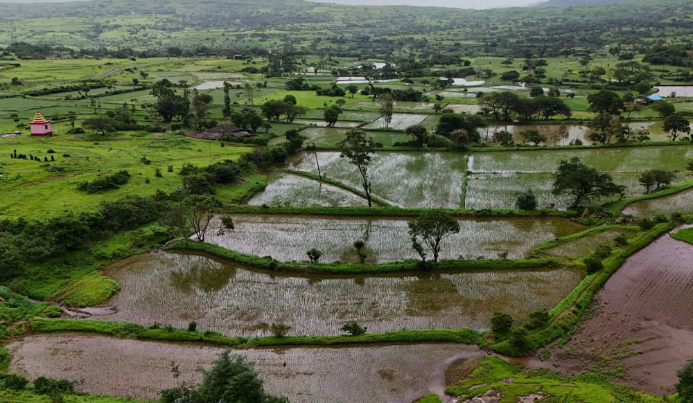 Climate Proofing & NRM